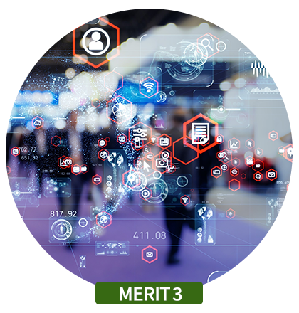 MERIT3