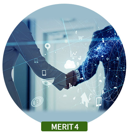 MERIT4